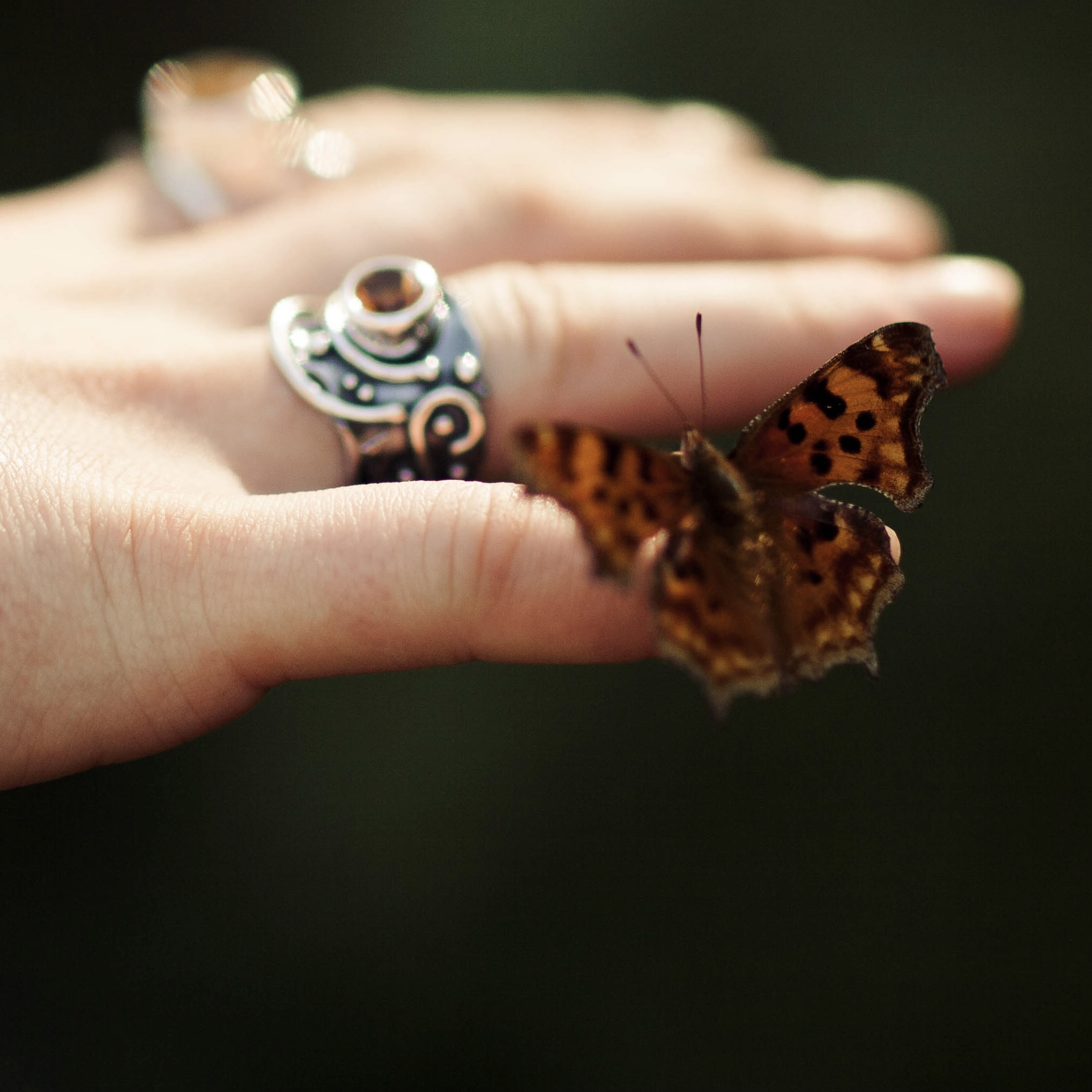 Citrine Ring – Size 8.75 – Argentium Silver Waves – 2 Carat